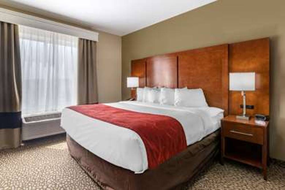 Comfort Suites Florence I-95 6