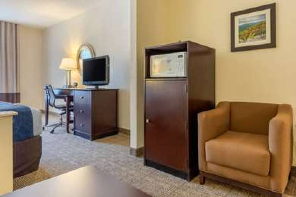 Comfort Suites Gastonia - Charlotte 9