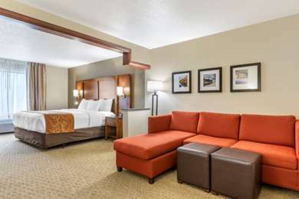 Comfort Suites Grand Rapids North 8