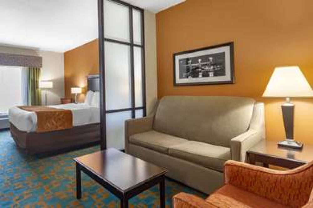 Comfort Suites Knoxville West - Farragut 10