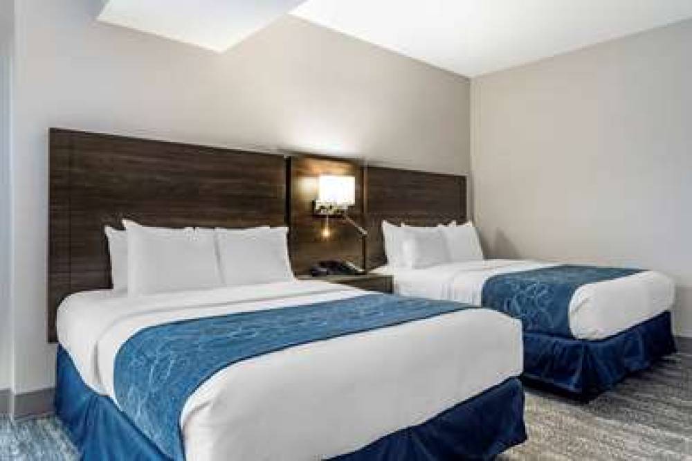 Comfort Suites McDonough Atlanta South 5