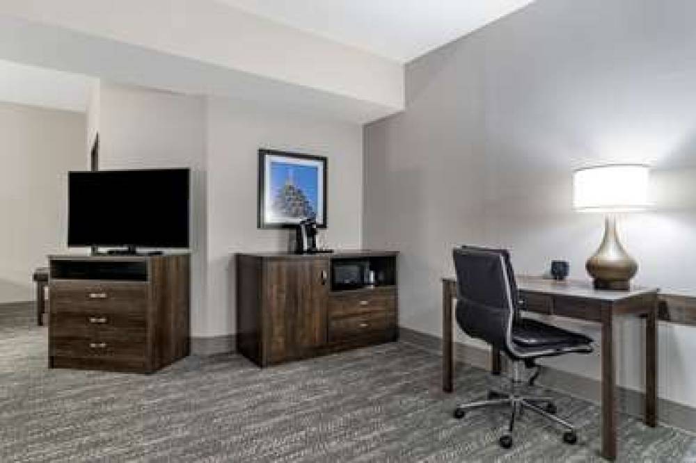 Comfort Suites McDonough Atlanta South 8