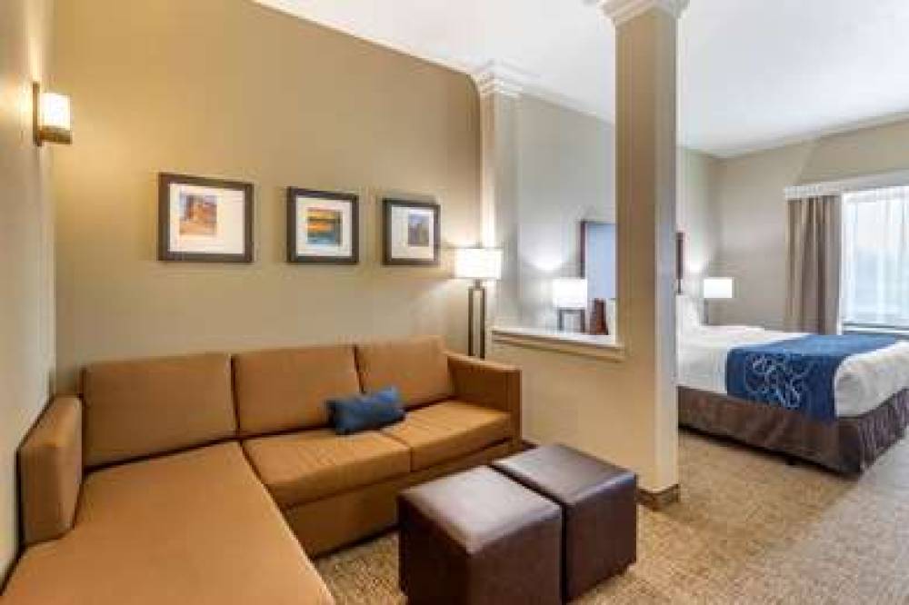 Comfort Suites Near Denver Downtown 10