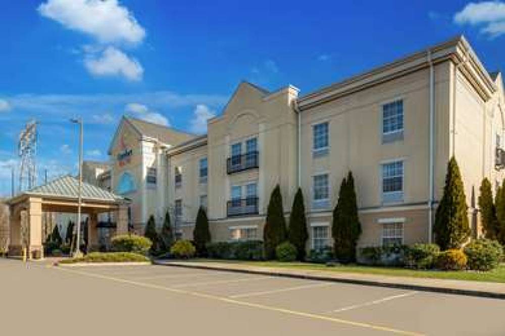 COMFORT SUITES NEAR UNIVERSITY 2