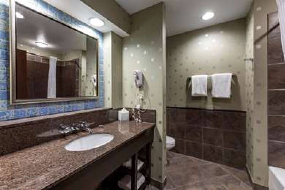 Comfort Suites Perrysburg - Toledo South 9