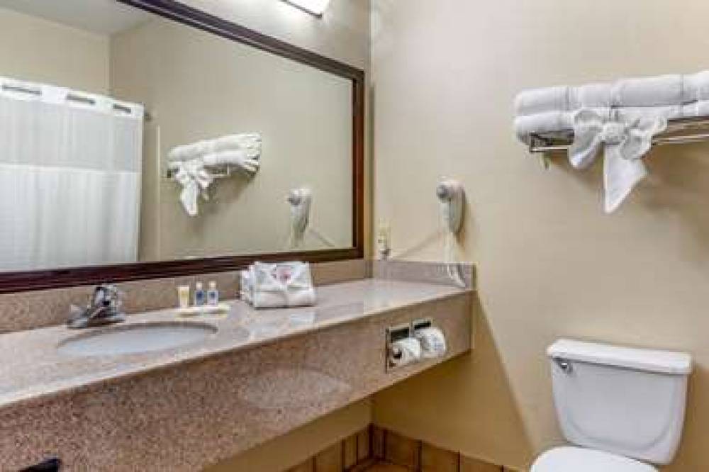 Comfort Suites Plainview 6