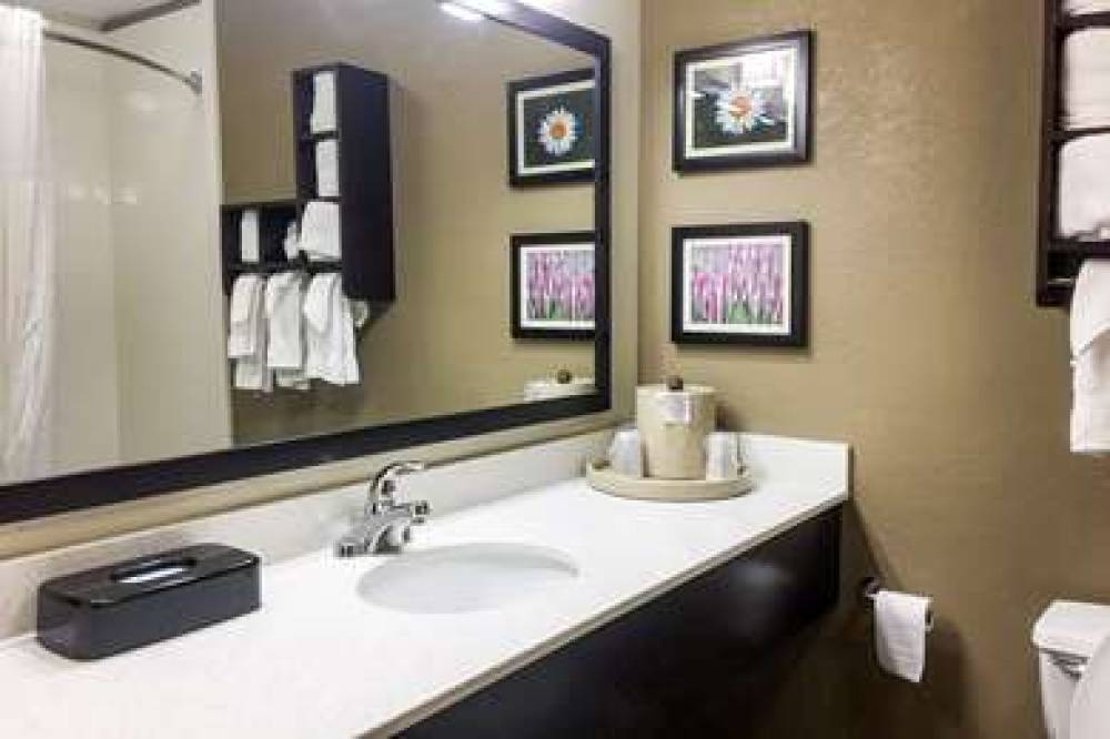 Comfort Suites Regency Park 6