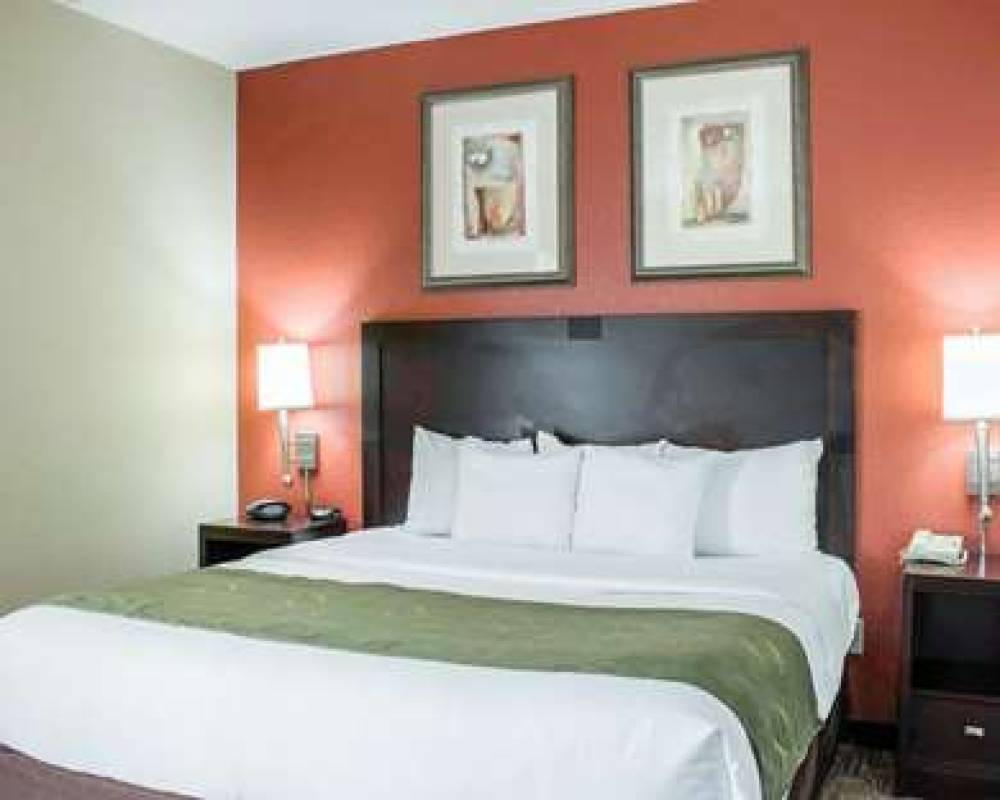 Comfort Suites Regency Park 9