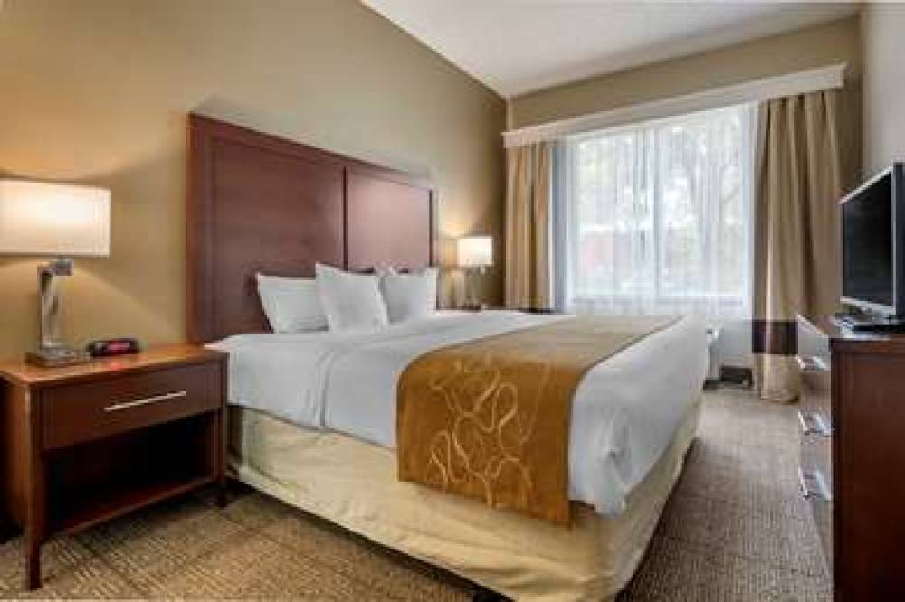 Comfort Suites Sawgrass 8