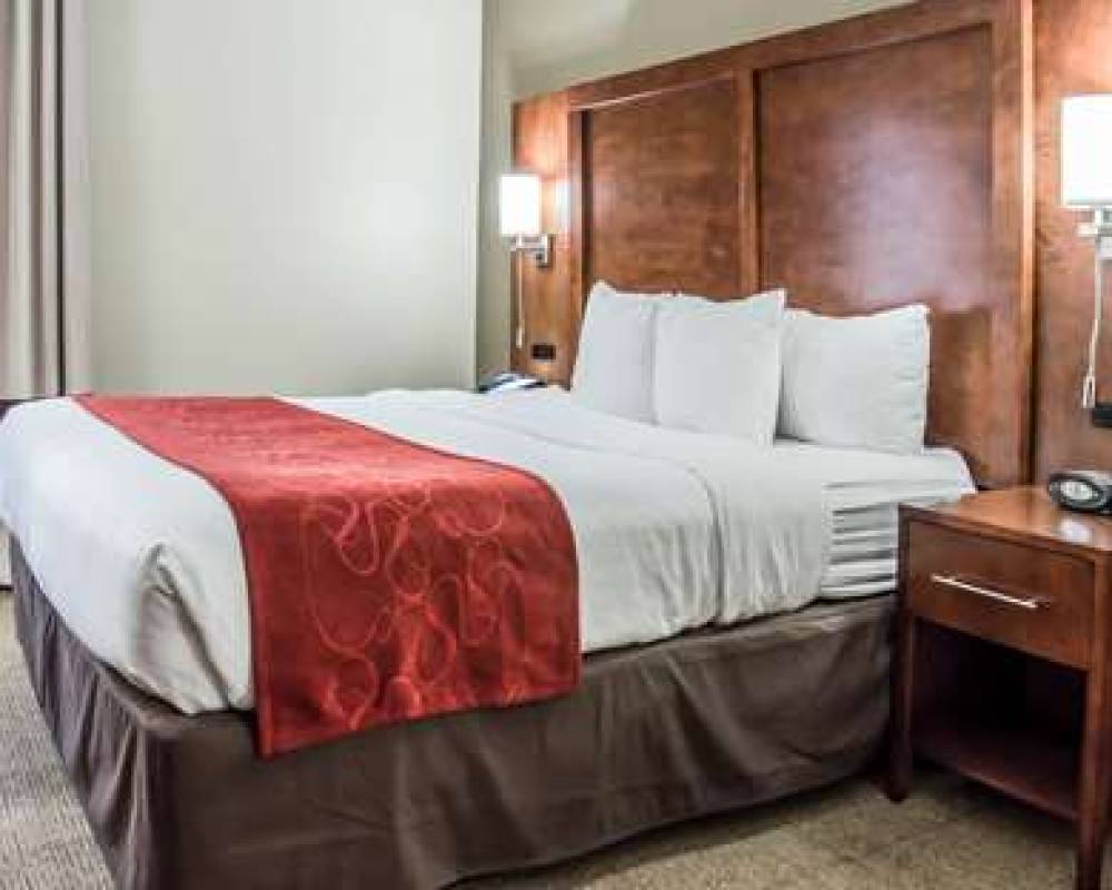 Comfort Suites University - Research Park 9