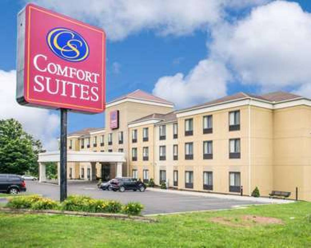 Comfort Suites Vestal Near University 1