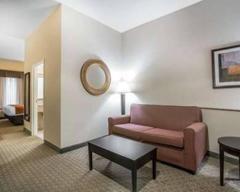 Comfort Suites Vestal Near University 9