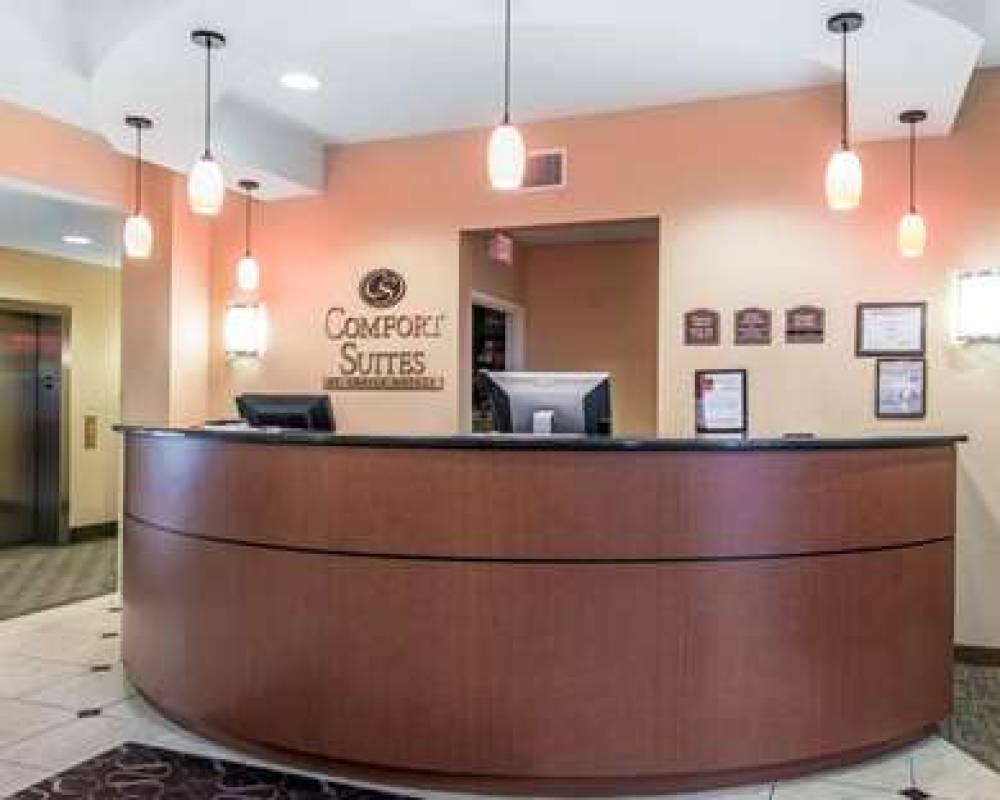 Comfort Suites Vestal Near University 6