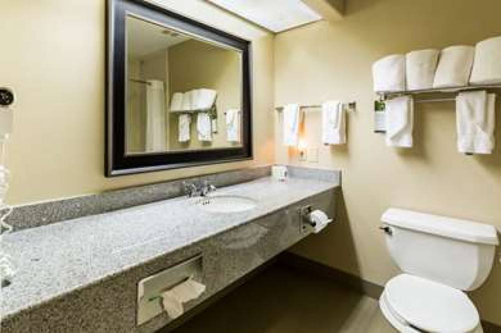 Comfort Suites Westchase 7