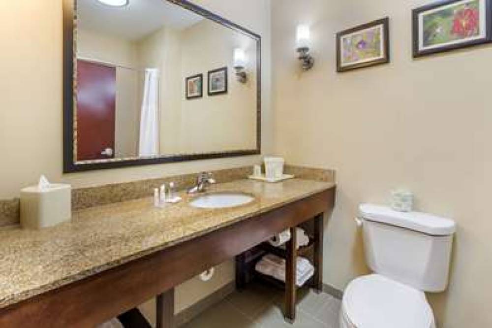 Comfort Suites Wilson - I - 95 8