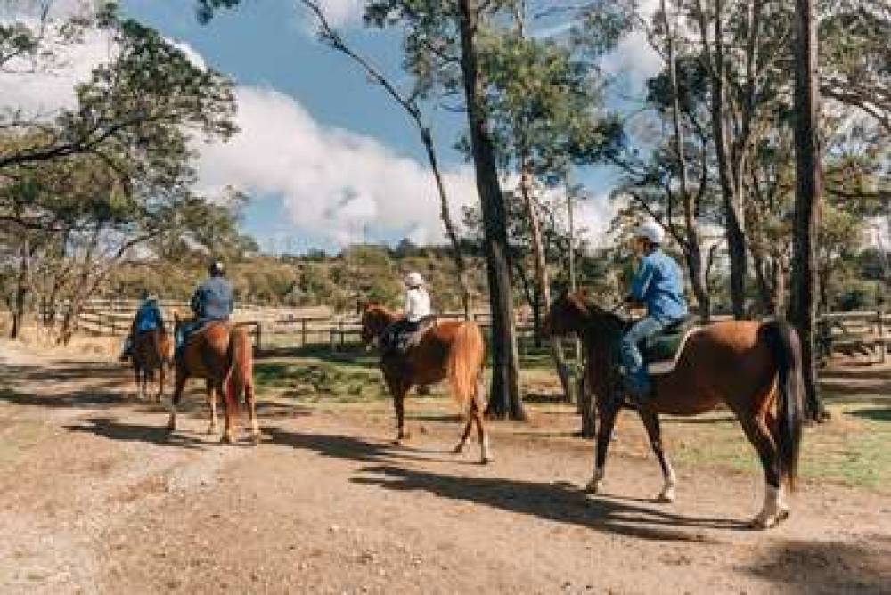 Country Club Tasmania 1