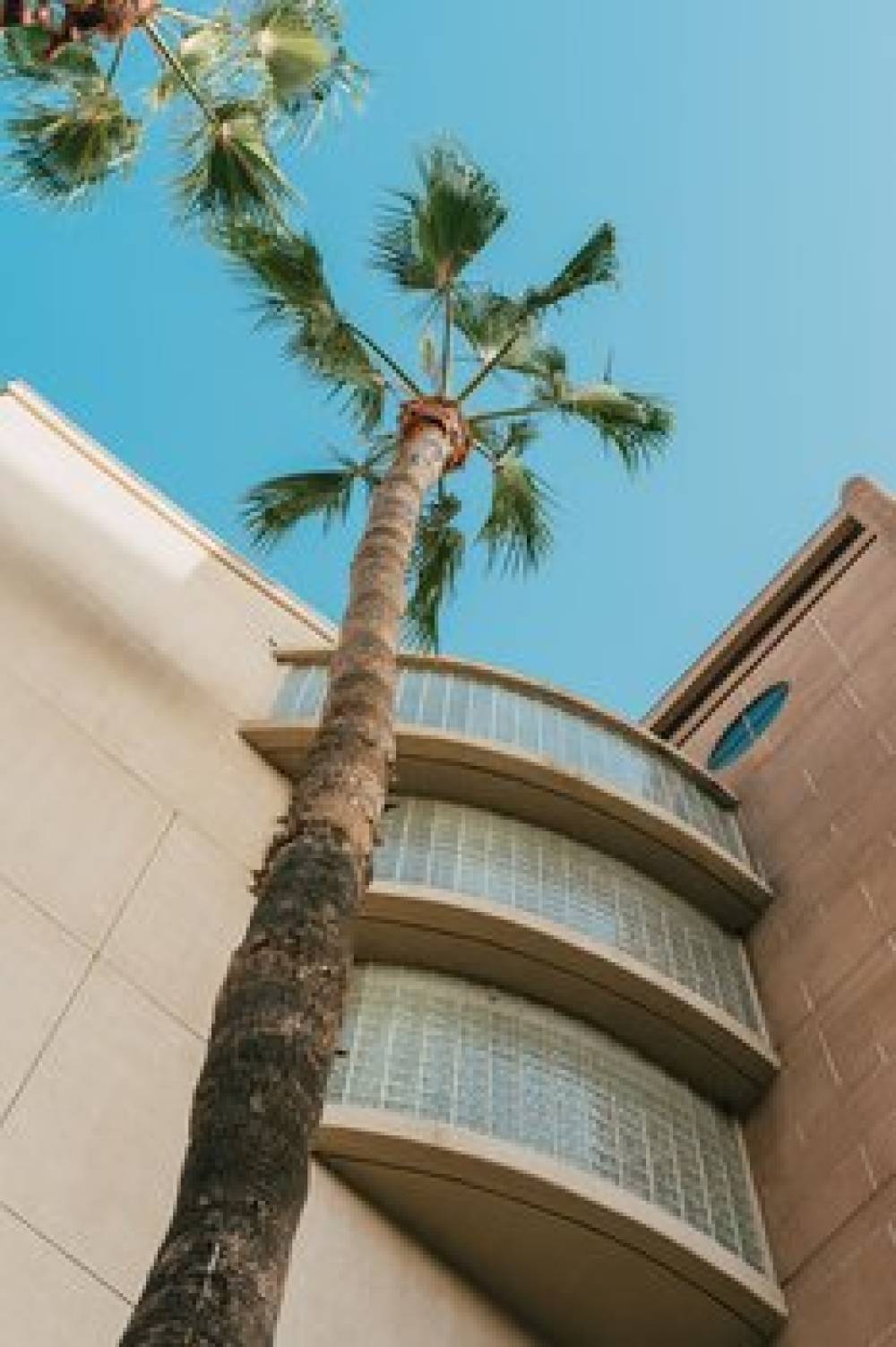 Courtyard By Marriott Los Angeles LAX Century Boulevard 4