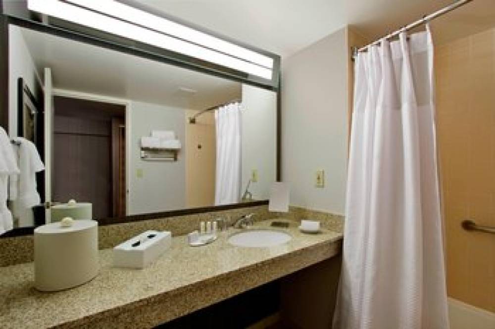 Courtyard By Marriott Lyndhurst Meadowlands 6