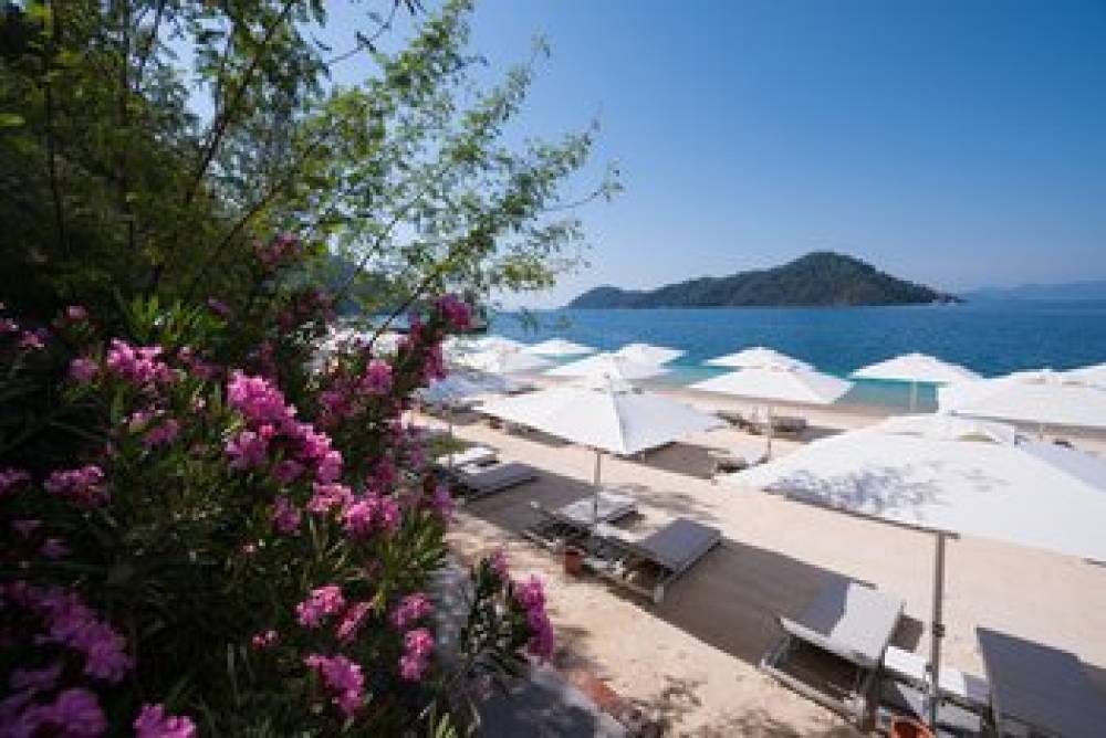 D-RESORT GOCEK 5