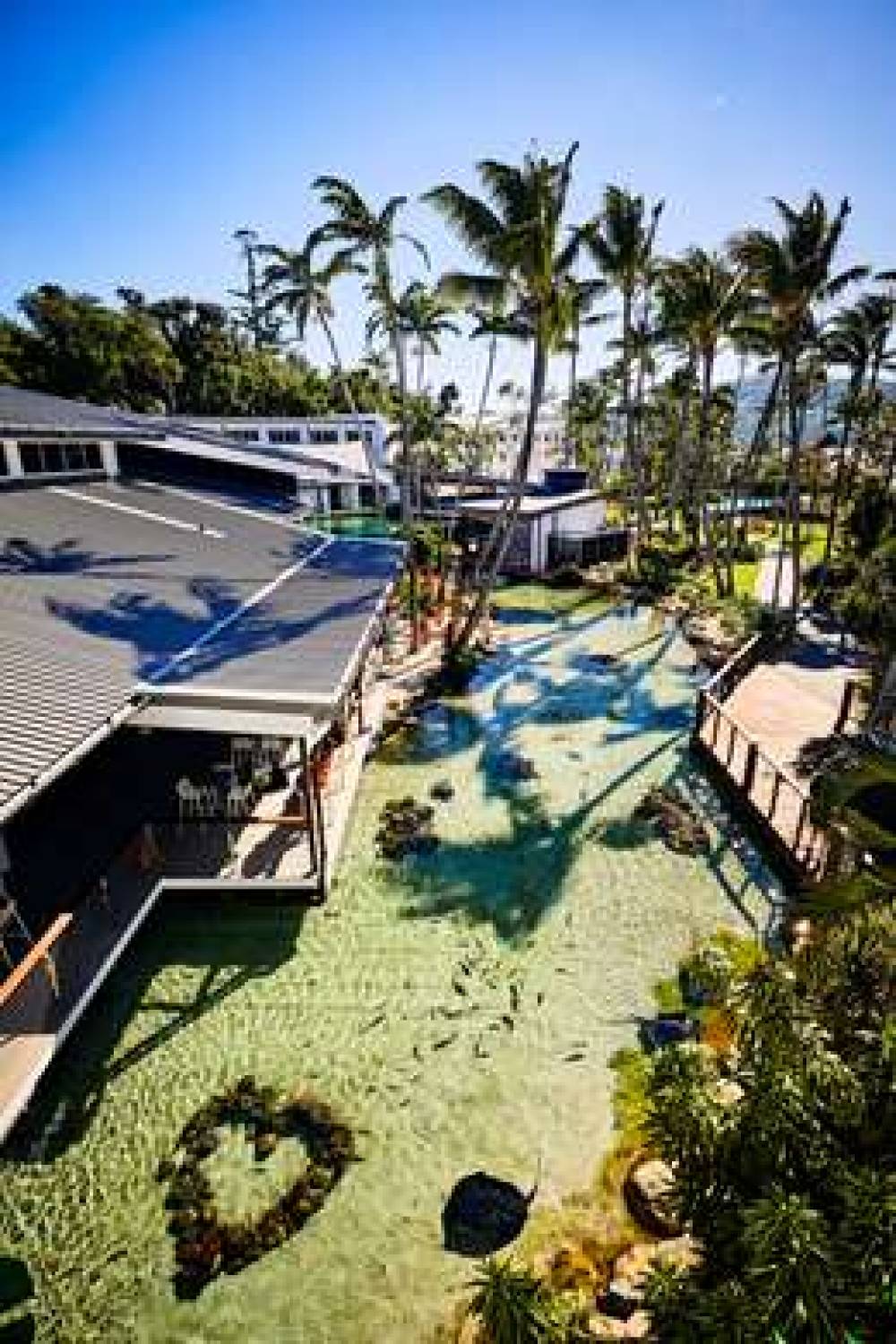 DAYDREAM ISLAND RESORT 10