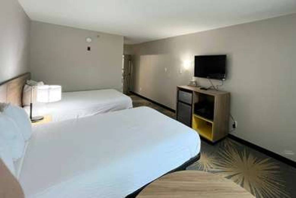 Days Inn By Wyndham LaPlace- New Orleans 10