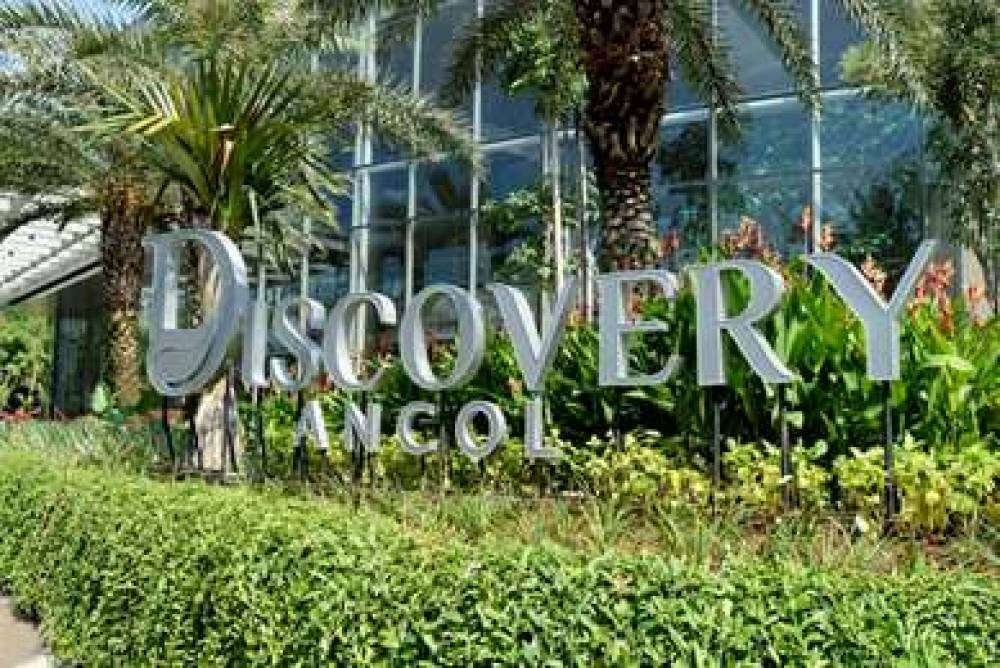 DISCOVERY ANCOL 2