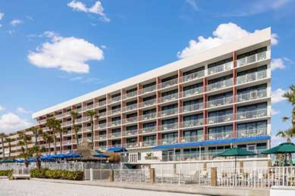 DoubleTree Beach Resort By Hilton Tampa Bay - Nor 4