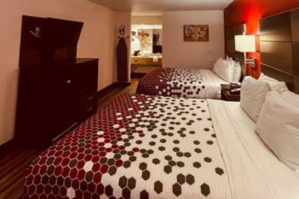 ECONO LODGE INN AND SUITES DOWNTOWN 4