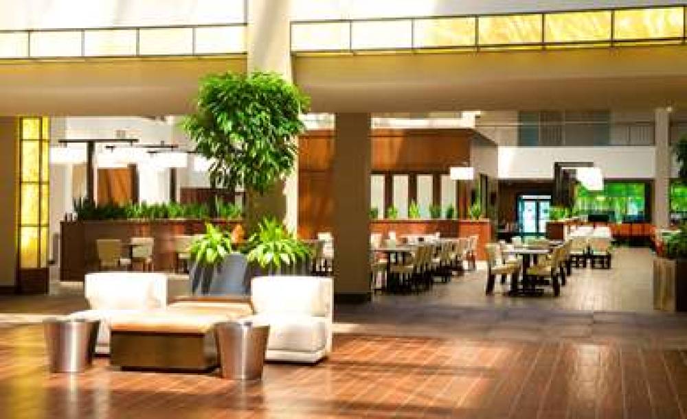 Embassy Suites By Hilton Cincinnati Blue Ash 7