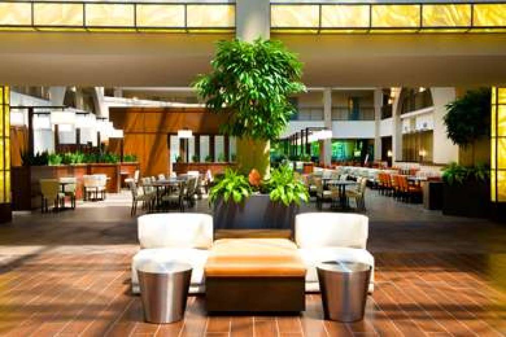 Embassy Suites By Hilton Cincinnati Blue Ash 6