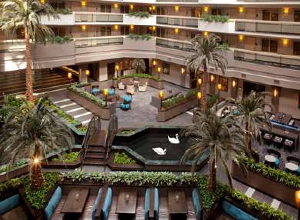 Embassy Suites By Hilton Houston-Near The Galleria 4