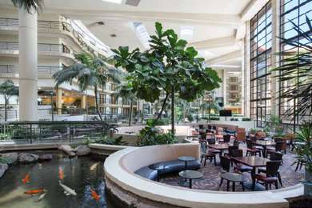 Embassy Suites By Hilton Phoenix-Biltmore 9