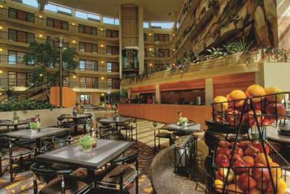 Embassy Suites By Hilton Phoenix-Biltmore 10