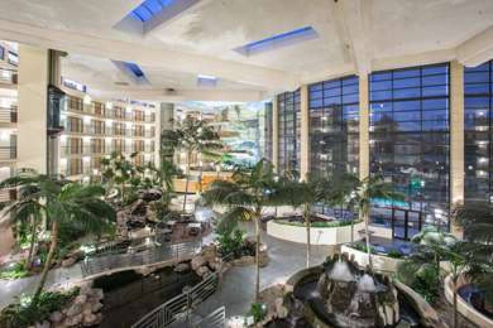 Embassy Suites By Hilton Phoenix-Biltmore 8