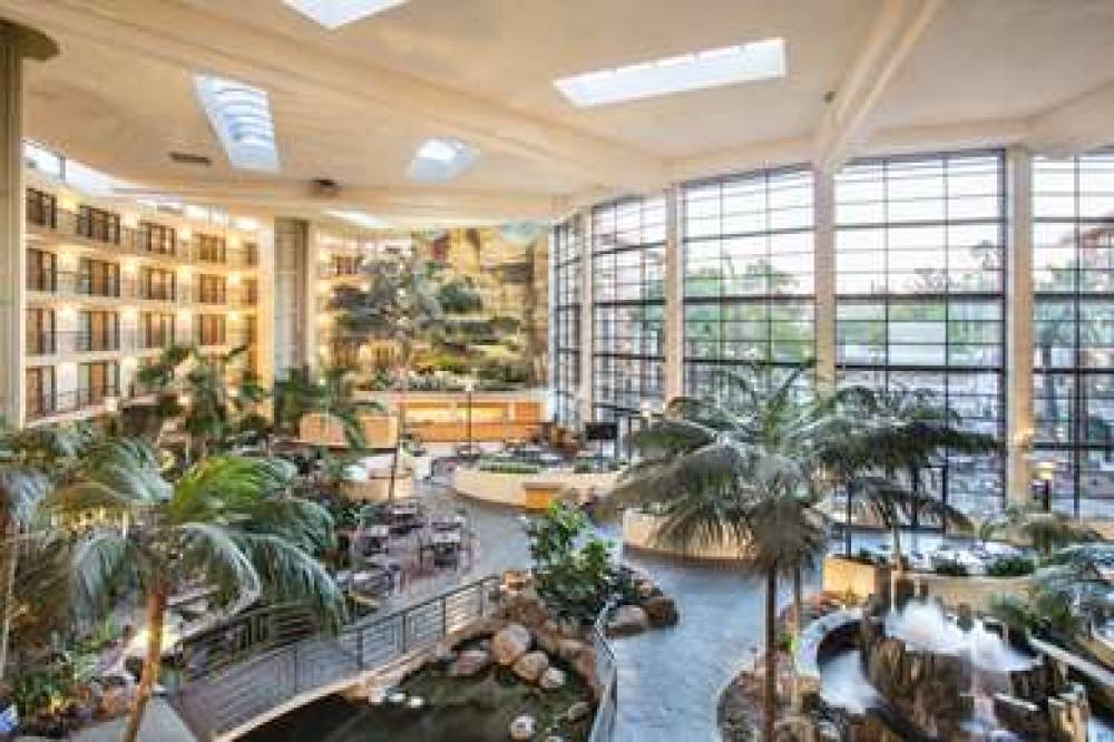 Embassy Suites By Hilton Phoenix-Biltmore 7