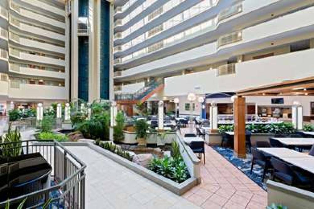 Embassy Suites By Hilton Tampa-USF-Near Busch Gar 2