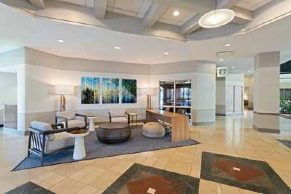 Embassy Suites By Hilton Tampa-USF-Near Busch Gar 4