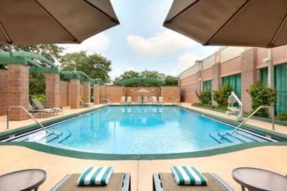 Embassy Suites By Hilton Tampa-USF-Near Busch Gar 6