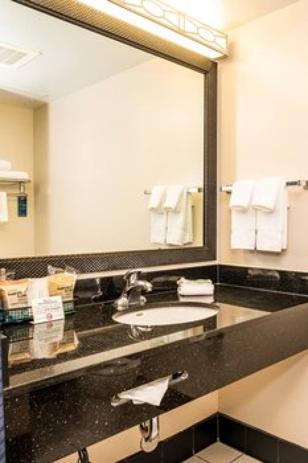 Fairfield Inn And Suites By Marriott San Antonio Alamo Plaza Conv Center 8