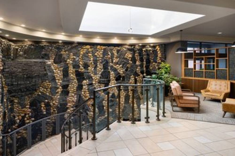 Four Points By Sheraton Edmonton South 5