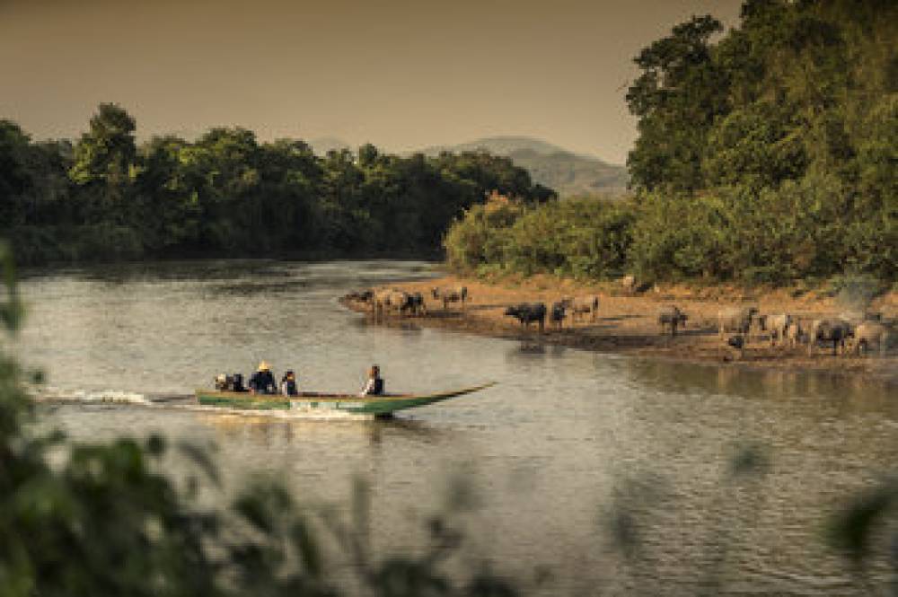 Four Seasons Tented Camp Golden Triangle