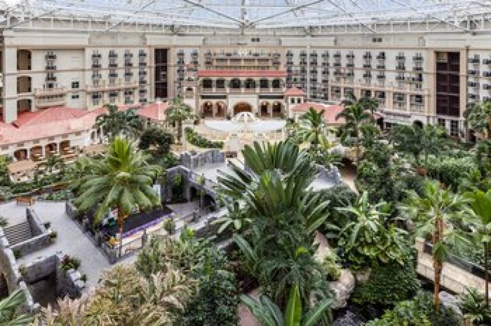 Gaylord Palms Resort And Convention Center 6