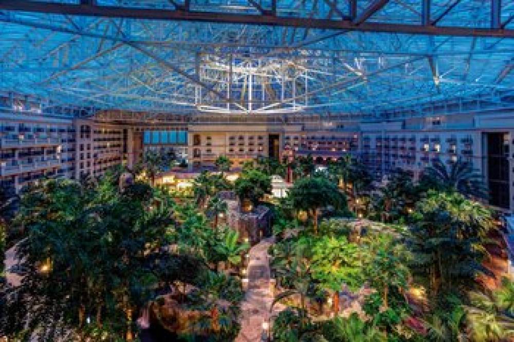 Gaylord Palms Resort And Convention Center 7