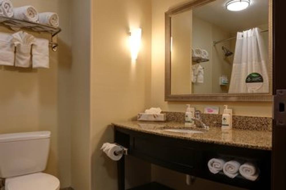 GreenTree Inn & Suites Florenc 7