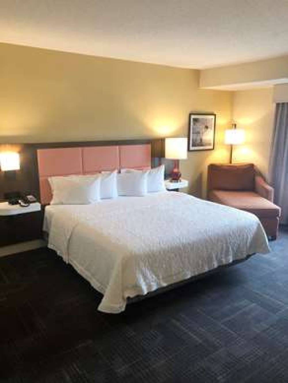 Hampton Inn &amp; Suites Norfolk-Airport 8