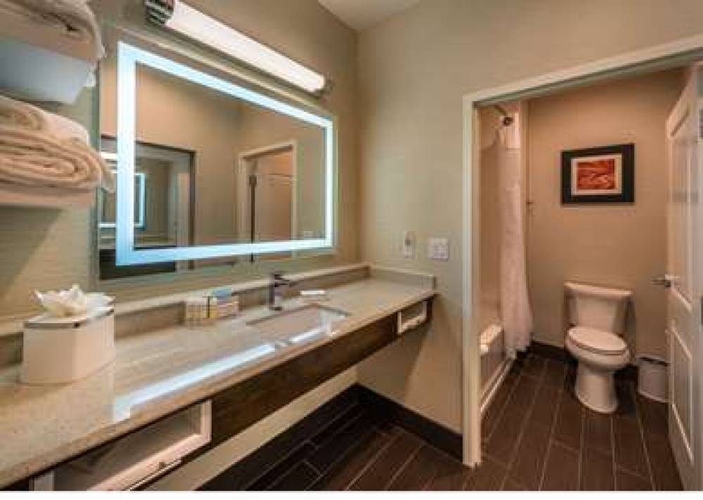 HAMPTON INN ANDAMP; SUITES RENO WES 10