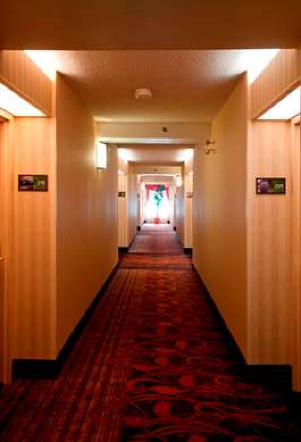 Hampton Inn By Hilton Toronto-Mississauga West 10