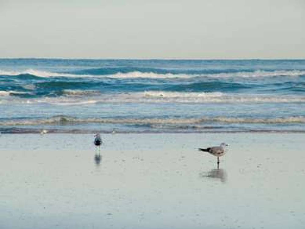 Hampton Inn Daytona Shores-Oceanfront 2