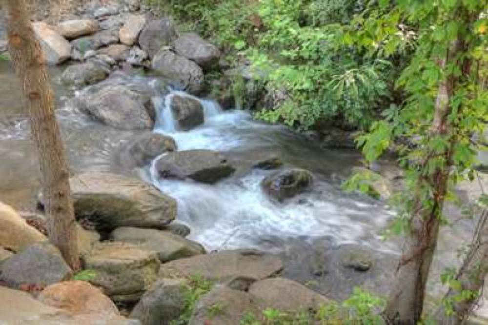 Hampton Inn Gatlinburg Historic Nature Trail, TN 3