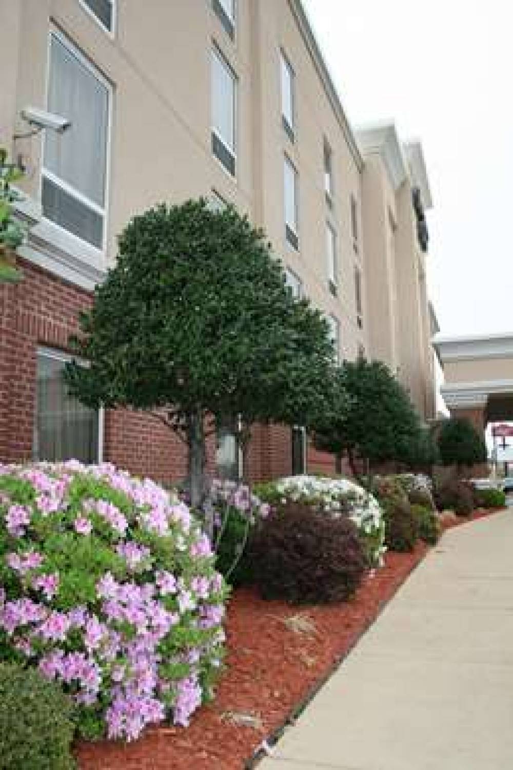 Hampton Inn Shreveport Airport 3